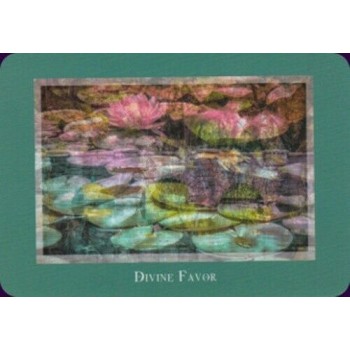 Gaia’s Vision Oracle kortos Schiffer Publishing
